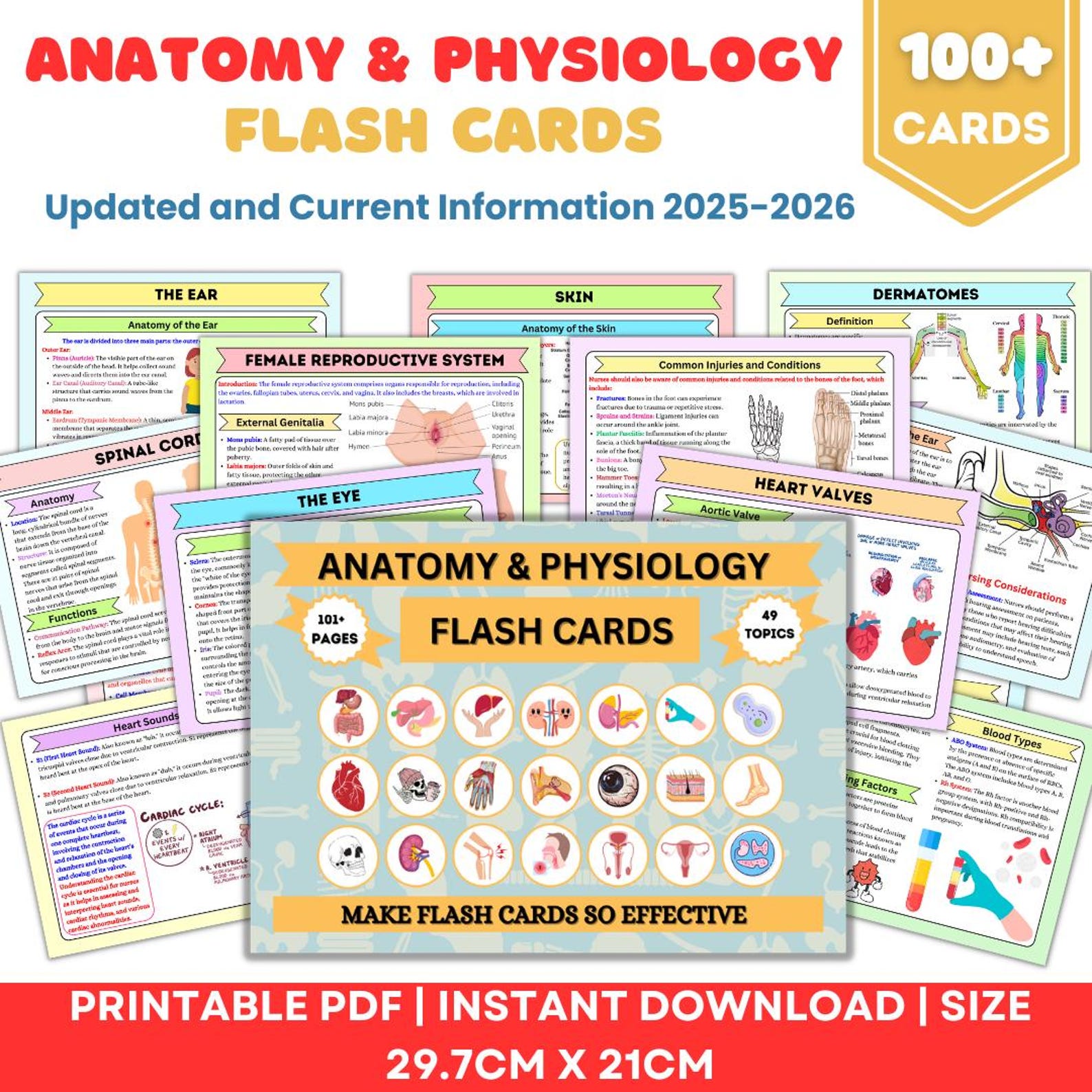 Anatomy & Physiology Flashcards | 49 Topics or 101+Pages | Nursing School Notes | Anatomy Study Guide | Instant Download PDF | Medical Note