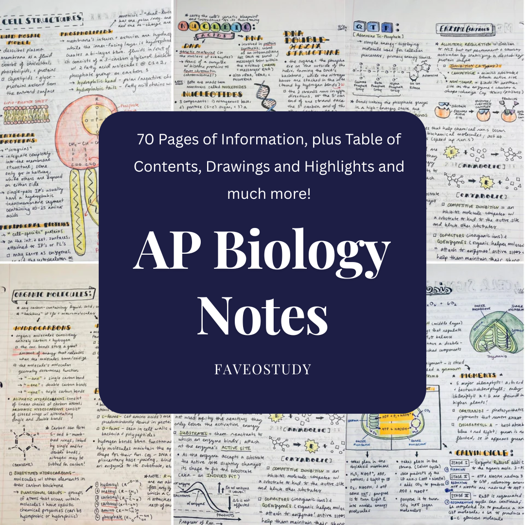 AP Biology Notes (70 pages)