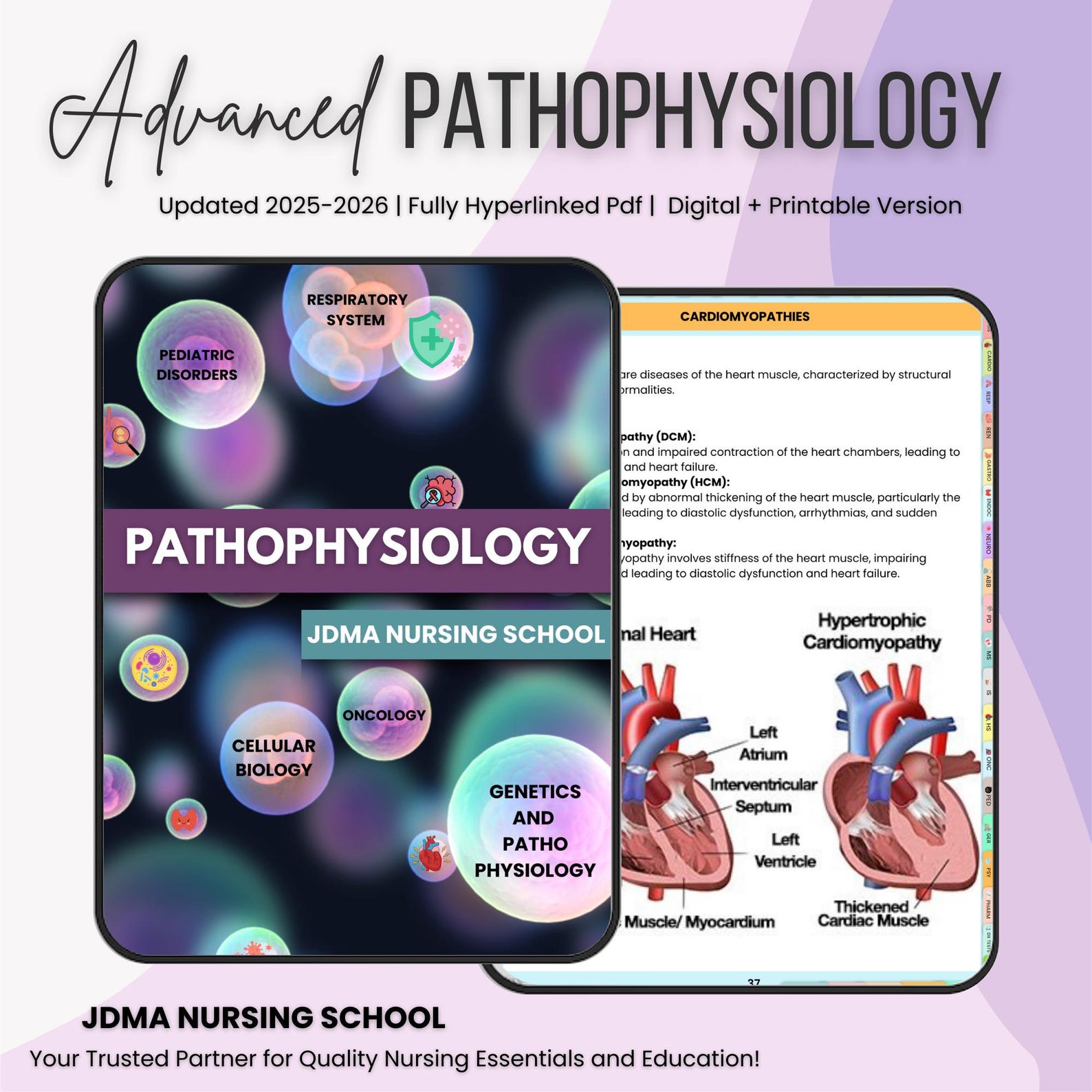 Pathophysiology Bundle with Flashcards, Quizzes, Stickers, Hyperlinked | UPDATE 2025-26 | Nursing School | Nursing Study Guide | Digital PDF